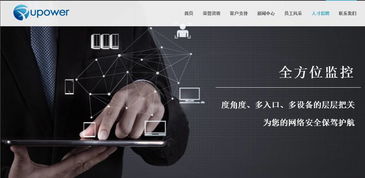 网络与信息安全软件开发中的渗透测试、漏洞挖掘与系统加固